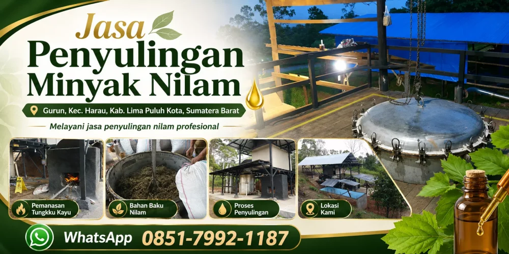 Jasa Penyulingan Minyak Nilam Payakumbuh melayani penyulingan daun nilam menjadi minyak nilam berkualitas di Harau, Lima Puluh Kota.